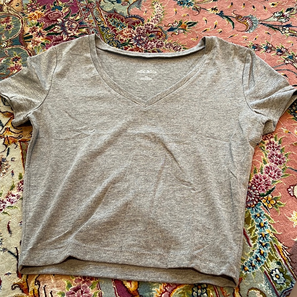 Wild fable grey v neck t shirt